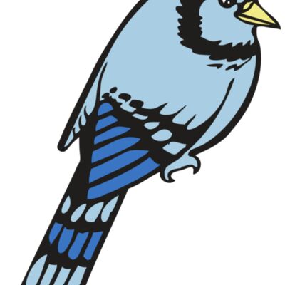 BAW BLUEJAY 08 RC Thumbnail