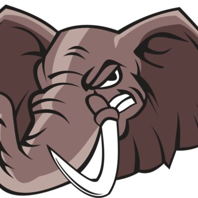 ELEPHANT HD0504 RQC Thumbnail