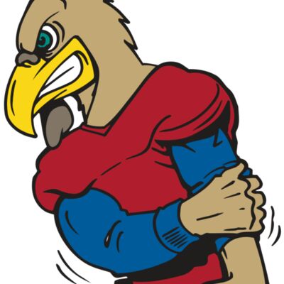 AR GCOCK 10 RC Thumbnail